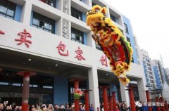 醒狮贺岁，爱游戏官方网站-爱游戏aiyouxi(中国)2019年开工大吉